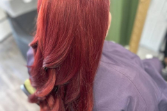 Womens-girls-haircolor_0007