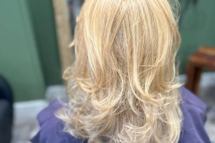 Womens-girls-haircolor_0012