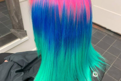 Womens-girls-haircolor_0013