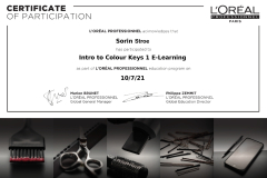 loreal-intro-to-color-keys-1-certificate-elearning