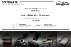loreal-intro-to-color-keys-2-certificate-elearning