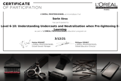 loreal-level-6-10-undercoats-naturalisation-pre-lighting-elearning